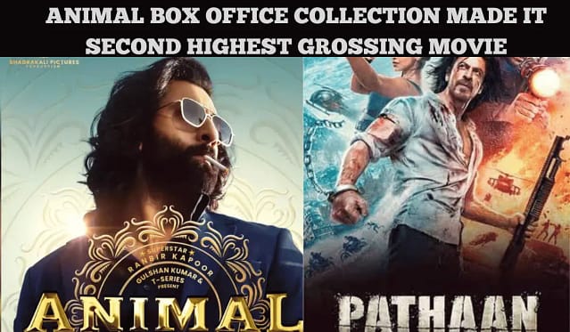 animal box office collection